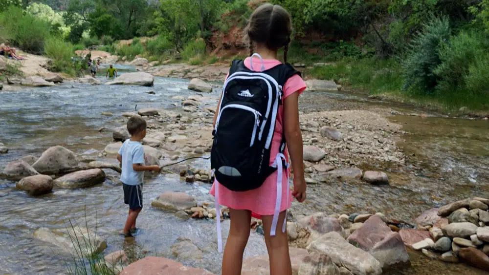 A girl in a pink dress stands by a creek, while a boy wades in the water nearby.